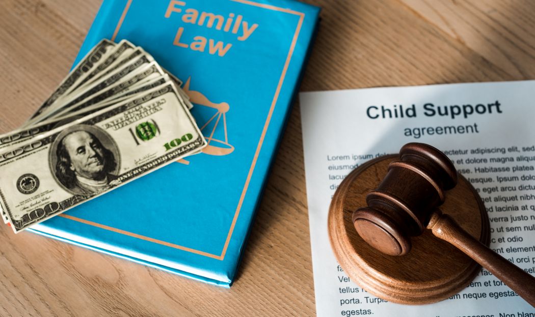 monroe family law attorney