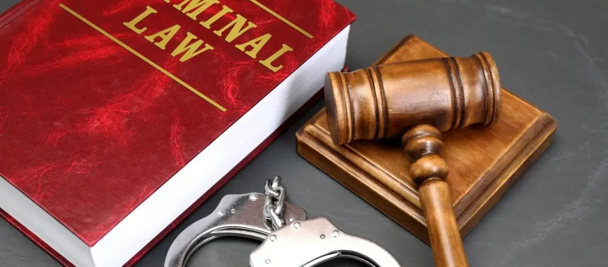 Lake Park Criminal Defense Attorney-image